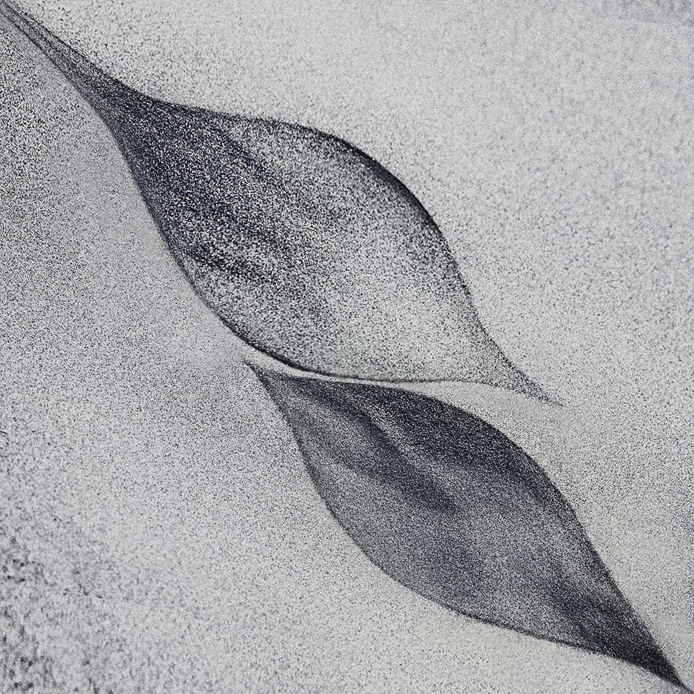 Shaped By A Creative Wind art print by Piet Flour for $57.95 CAD