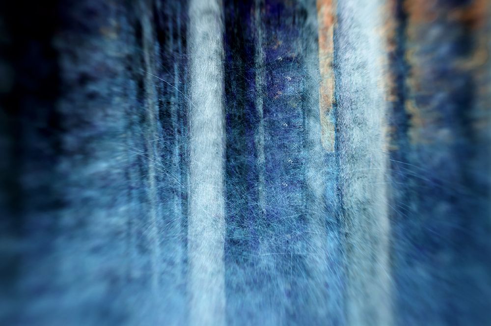 The Forest art print by Kostas Barbadimos for $57.95 CAD