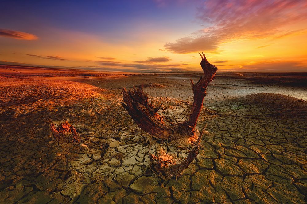 Bloody Sunset art print by Piotr Krol for $57.95 CAD