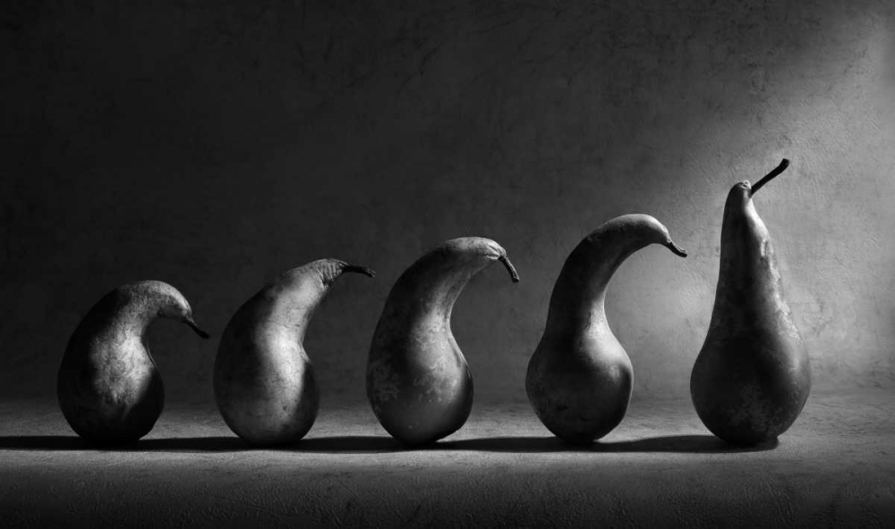 The Evolution art print by Victoria Ivanova for $57.95 CAD
