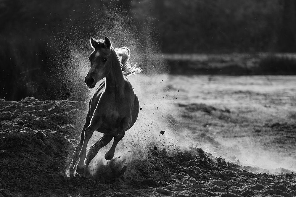 Take Off art print by Mohammed Alnaser for $57.95 CAD
