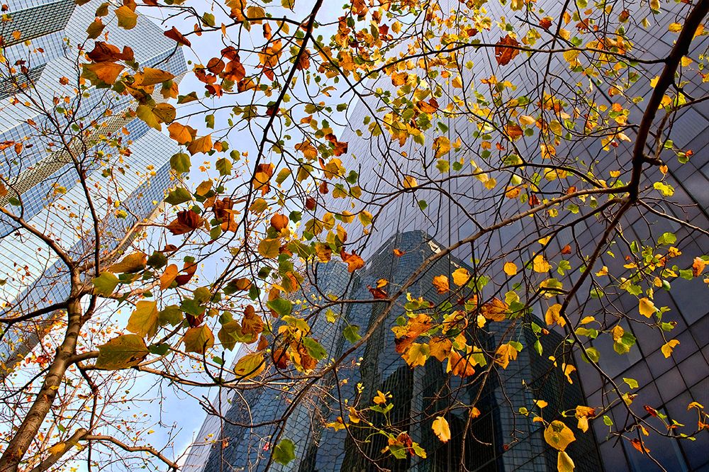 Autumn art print by Jure Kravanja for $57.95 CAD