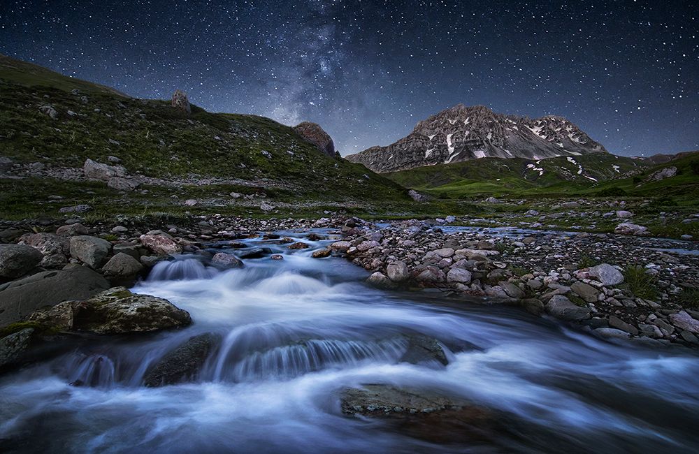 Elements Of Nature art print by Chris Kaddas for $57.95 CAD