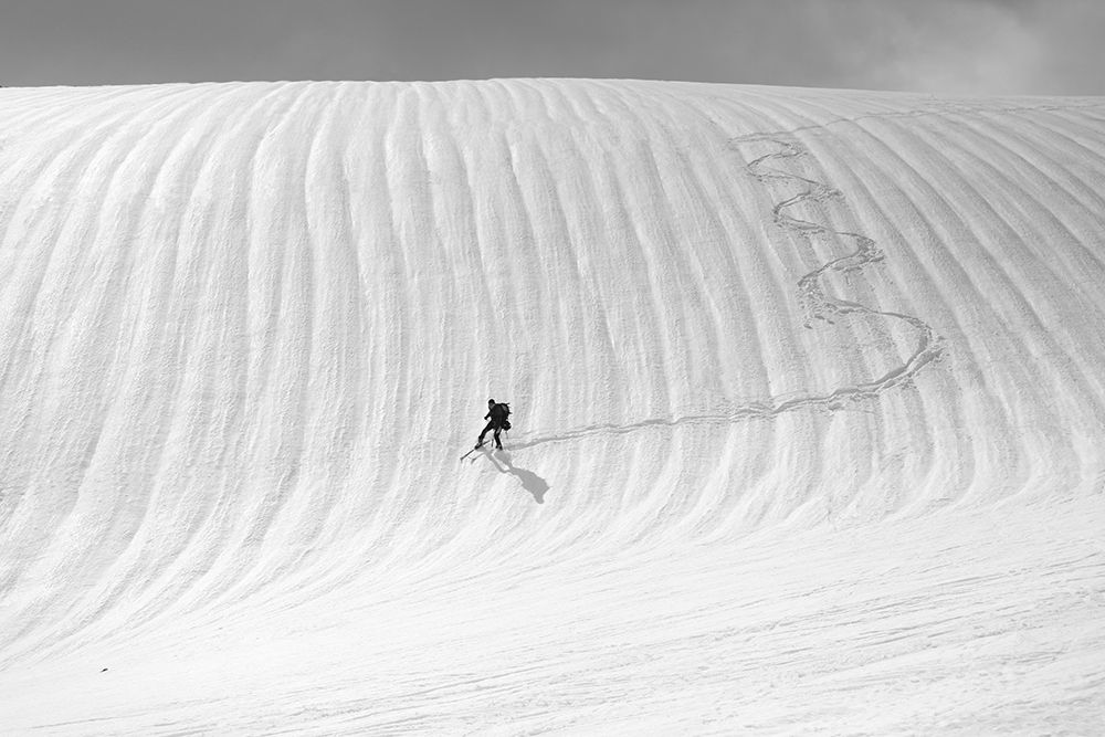 Snow Wave Surfing art print by Peter Svoboda MQEP for $57.95 CAD