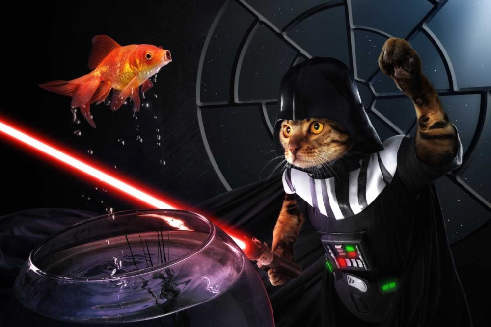 Darth Sushi art print by Christophe Kiciak for $57.95 CAD