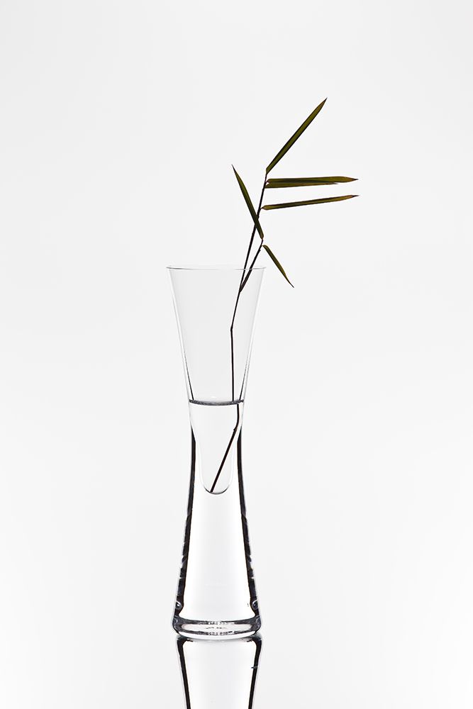 Bamboo art print by Christian Pabst for $57.95 CAD