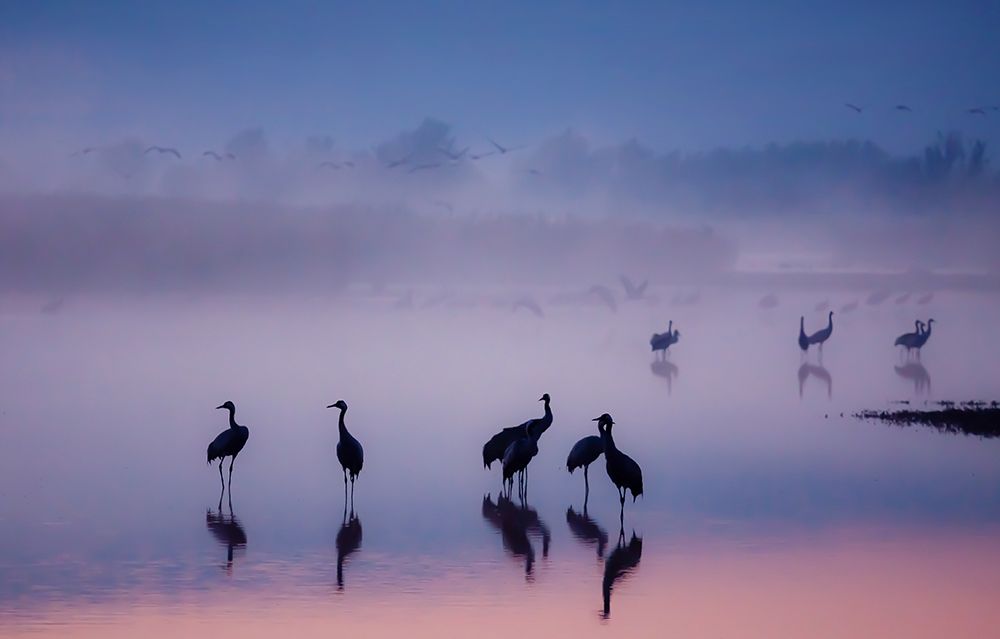 Enchanted Serenity art print by Meizner for $57.95 CAD