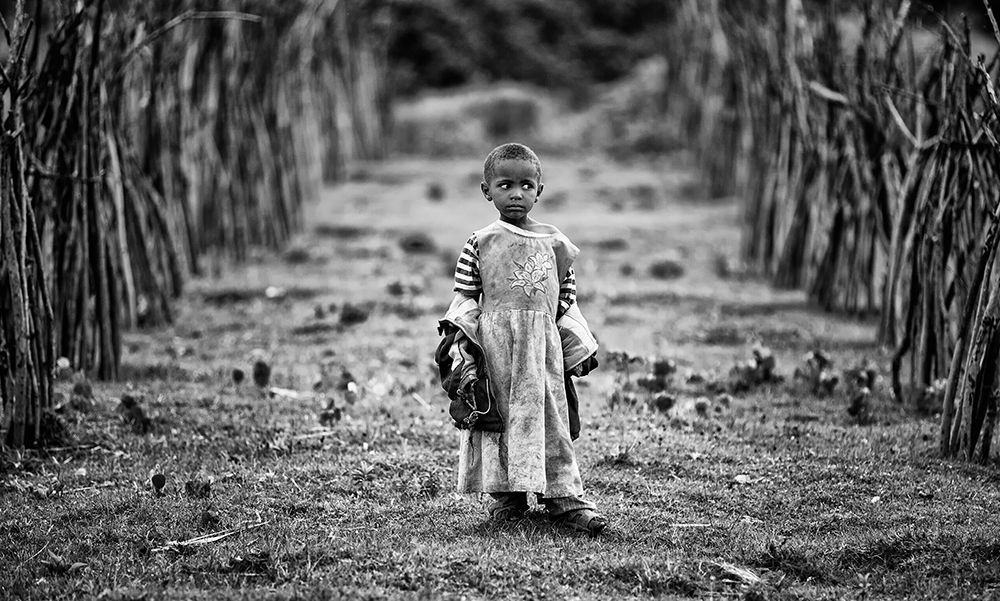Lost art print by Goran Jovic for $57.95 CAD