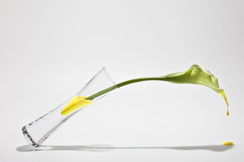 Calla art print by Christian Pabst for $57.95 CAD
