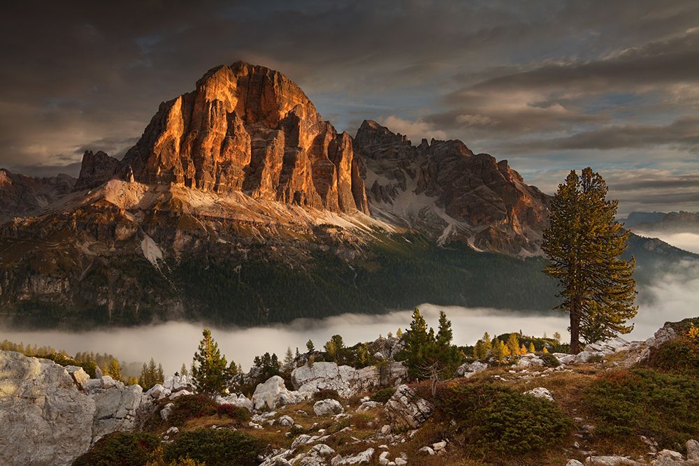 Tofana De Rozes art print by Daniel Rericha for $57.95 CAD