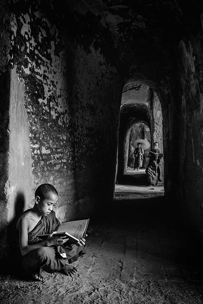 Readings art print by Michael Lim for $57.95 CAD