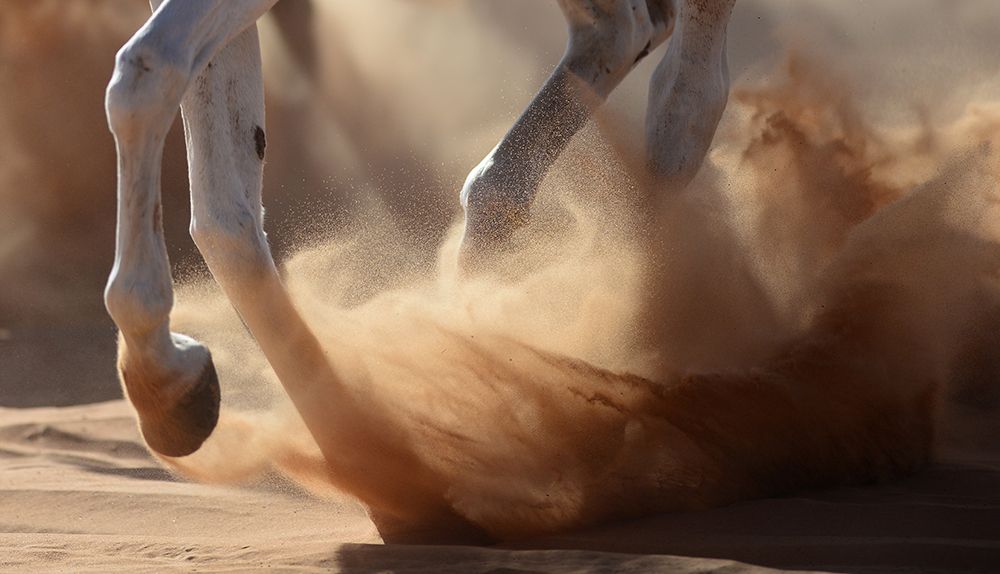 Oman Desert art print by Kadir Civici for $57.95 CAD
