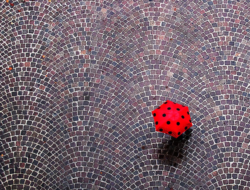 Urban Ladybug art print by Franco Maffei for $57.95 CAD