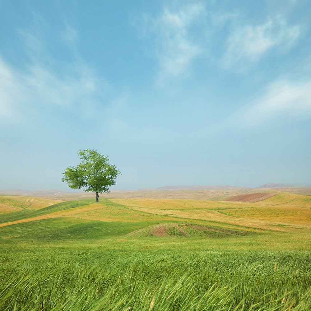 Everything Is Good art print by Hossein Zare for $57.95 CAD