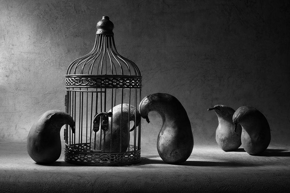 The political prisoner art print by Victoria Glinka for $57.95 CAD