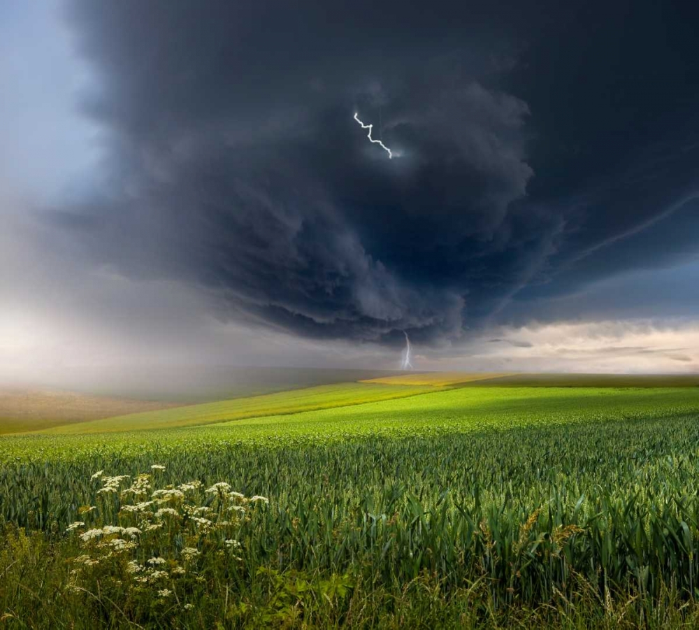 June Storm art print by Franz Schumacher for $57.95 CAD