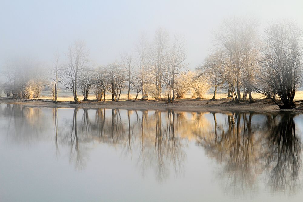 January Morning art print by Bor for $57.95 CAD