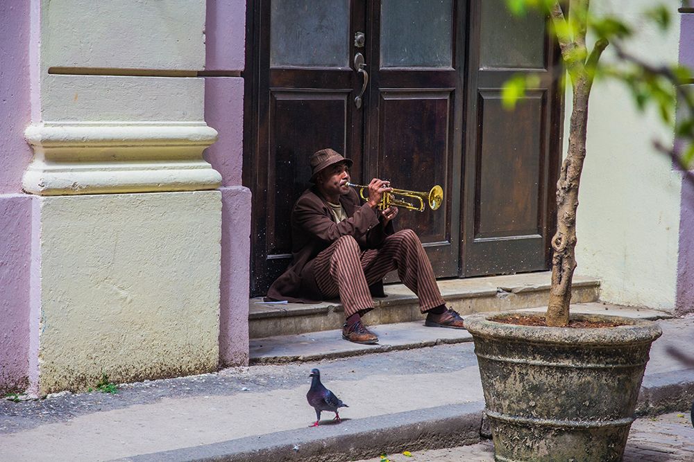 Playing For Pigeons art print by Colin Hatherill for $57.95 CAD