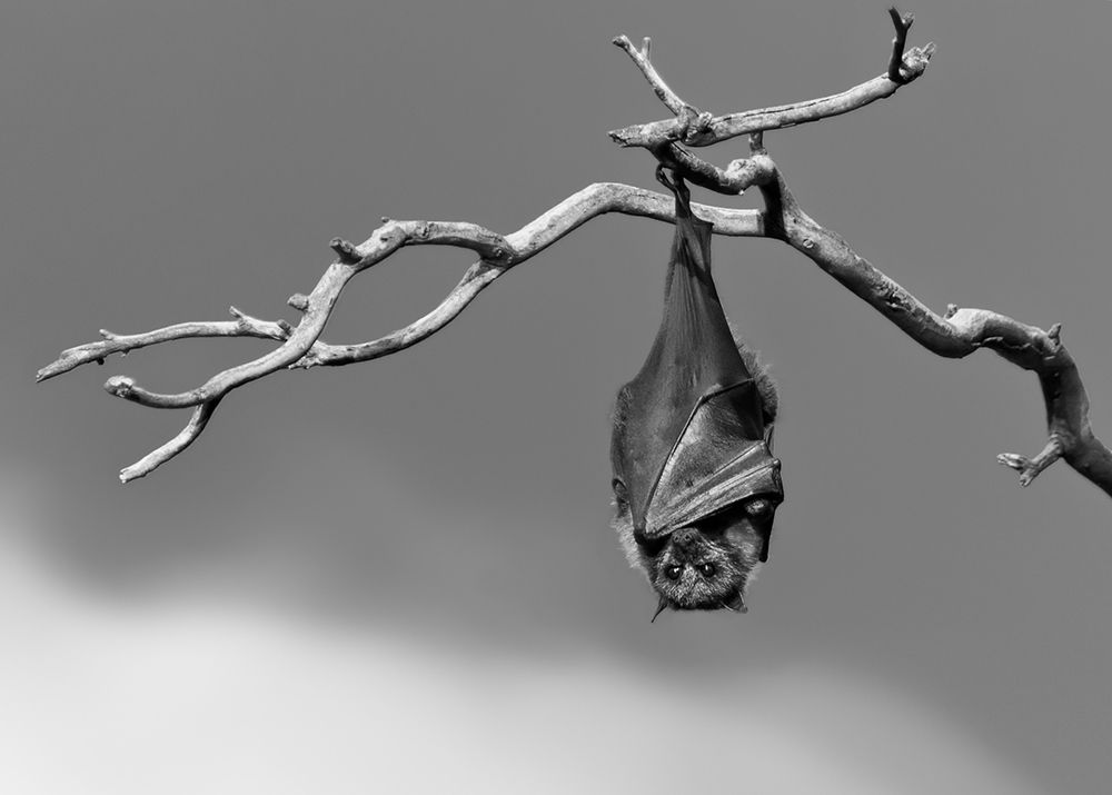 Sleepless art print by TJ Millar for $57.95 CAD