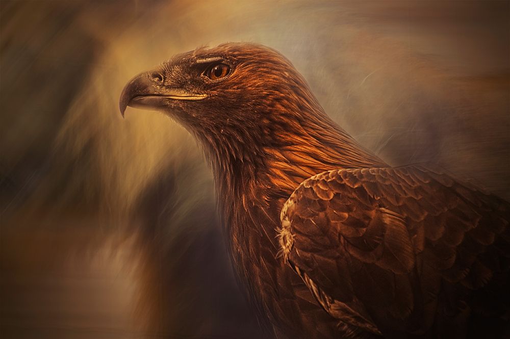 instincts cage art print by Desislava Ignatova for $57.95 CAD