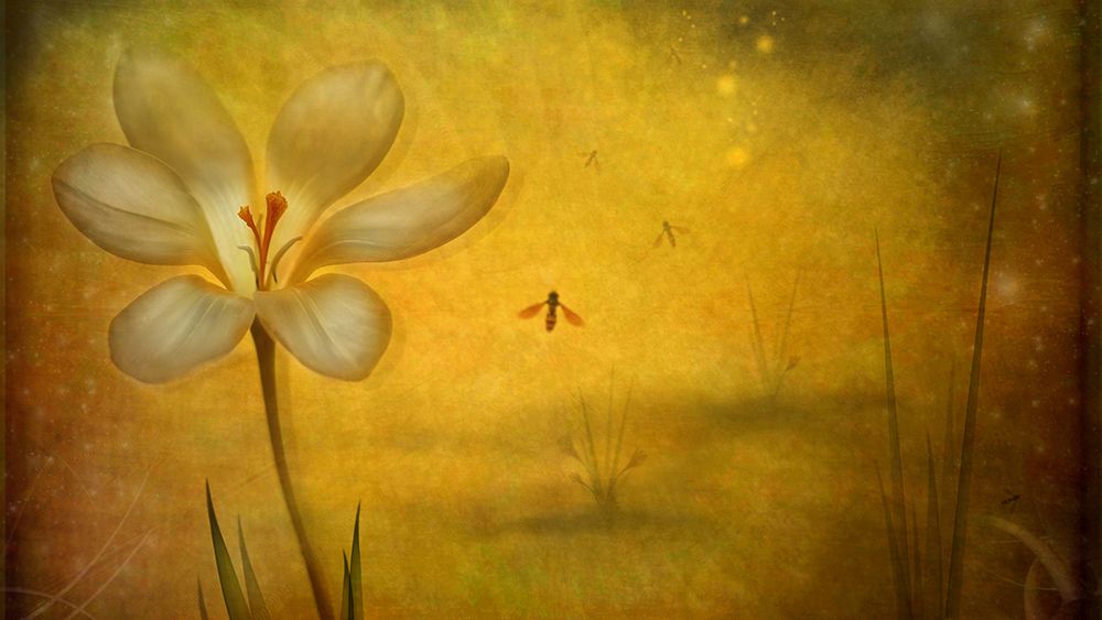 Summer art print by Lotte Anderson for $57.95 CAD