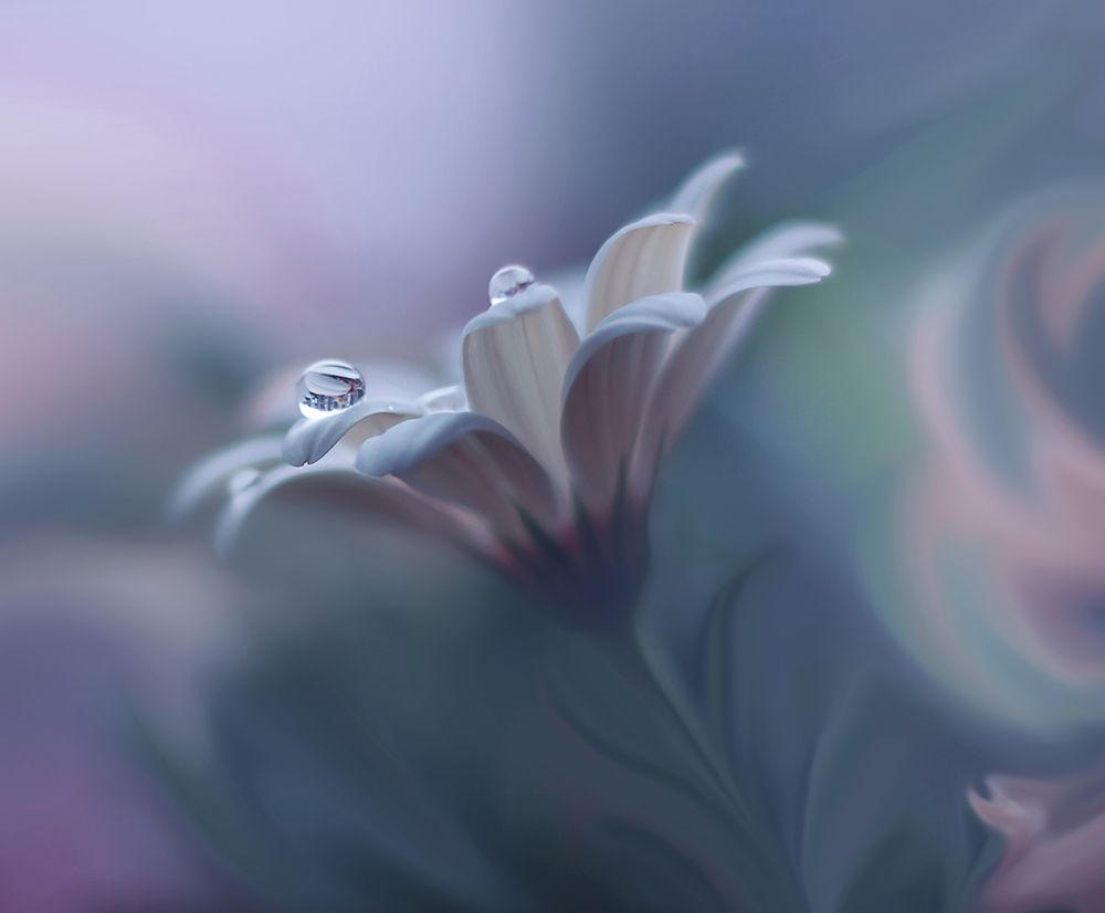 Behind Closed Eyes... art print by Juliana Nan for $57.95 CAD