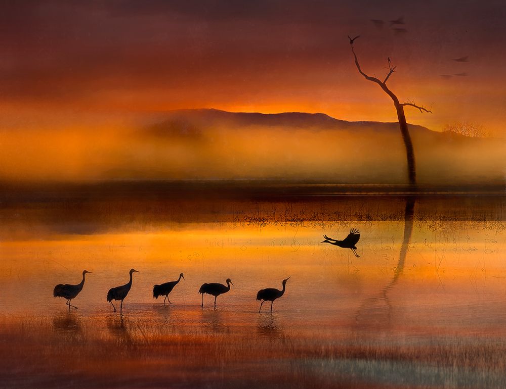 We Are Here Waiting For You art print by Shenshen Dou for $57.95 CAD