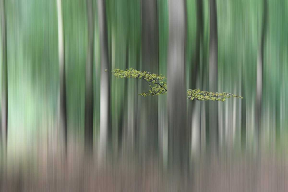 Summermorning art print by Huib Limberg for $57.95 CAD