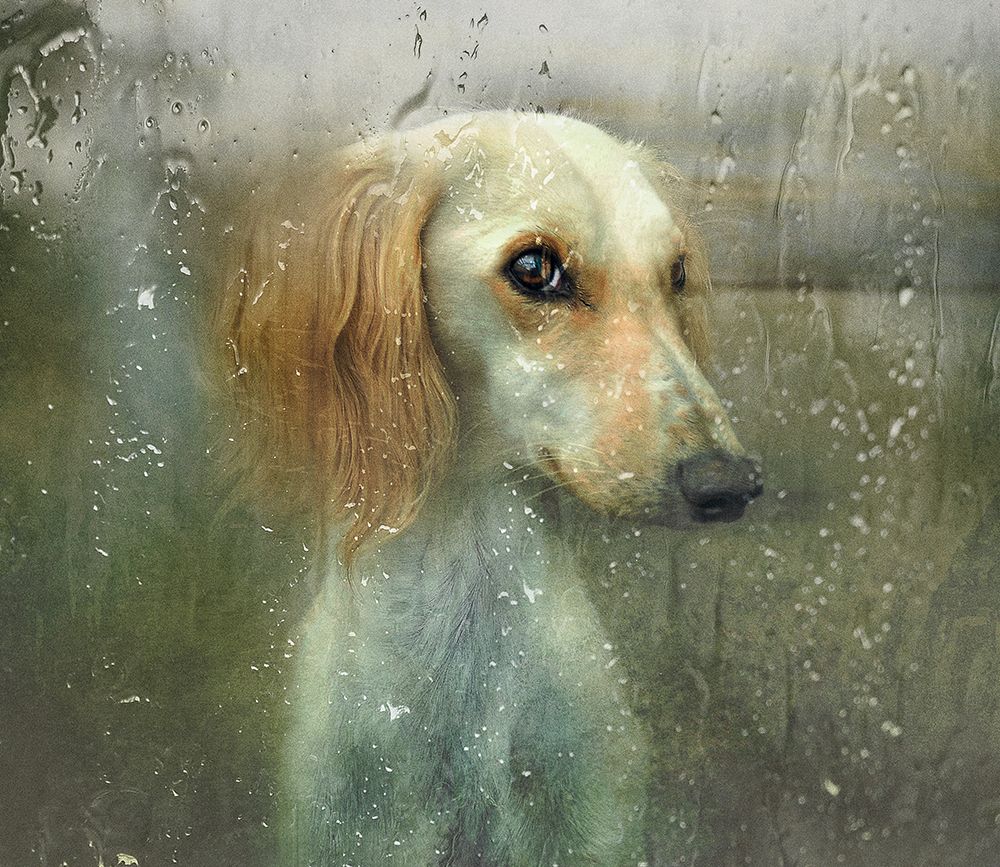 That Autumn... art print by Svetlana Melik-Nubarova for $57.95 CAD