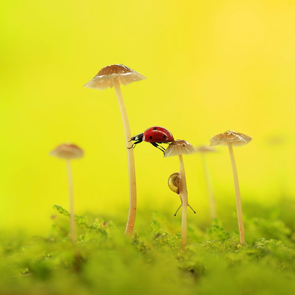 Autumn  fairy tale art print by Liangdawei for $57.95 CAD