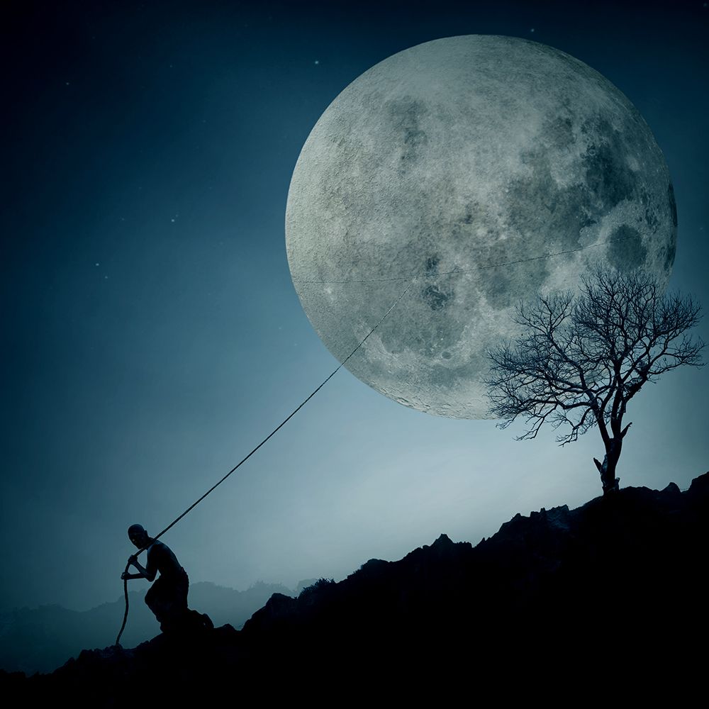 The Dreamer art print by Final Toto for $57.95 CAD