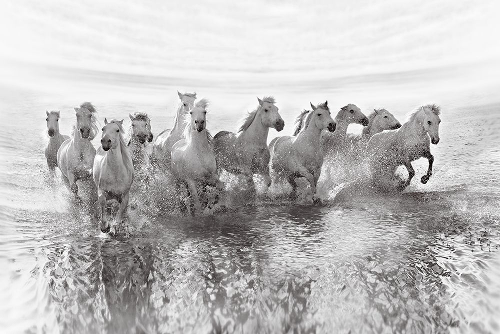 Illusion Of Power (13 Horse Power Though) art print by Roman Golubenko for $57.95 CAD
