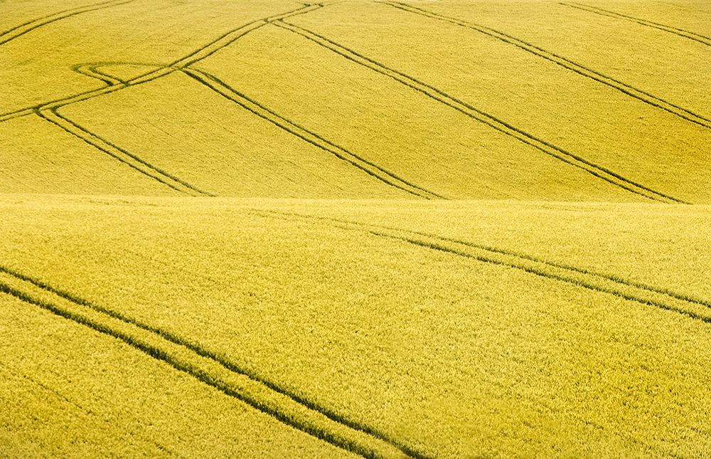 Field #2 art print by Clive Collie for $57.95 CAD