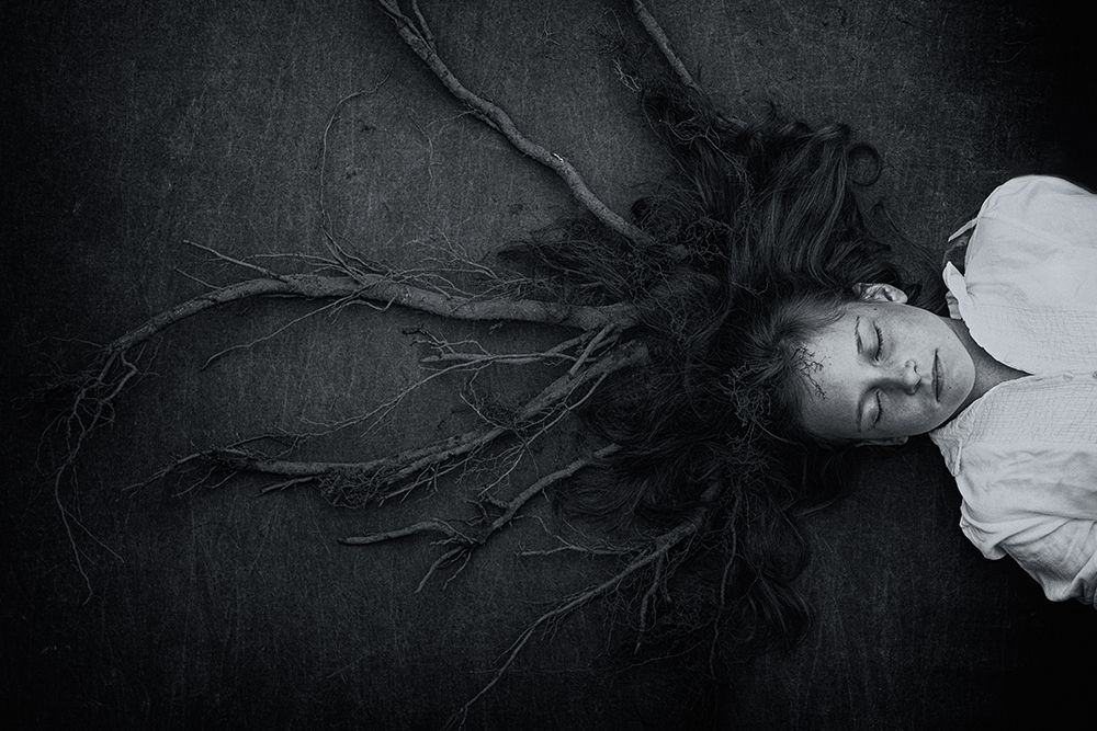 Roots art print by Mirjam Delrue for $57.95 CAD