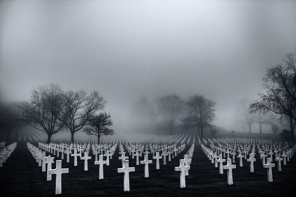 Why? art print by Arnaud Bratkovic for $57.95 CAD