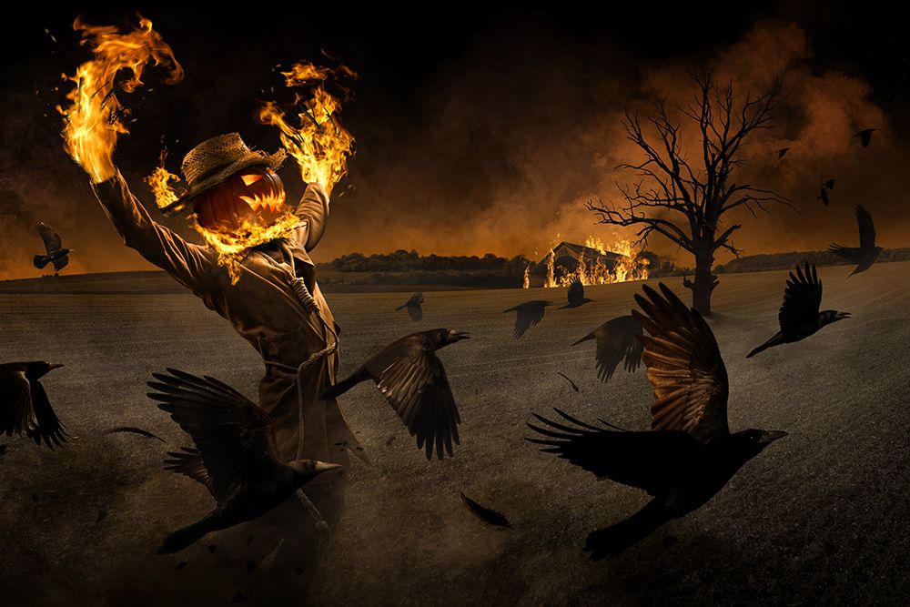 Jack-OA#039;-Scarecrow art print by Christophe Kiciak for $57.95 CAD