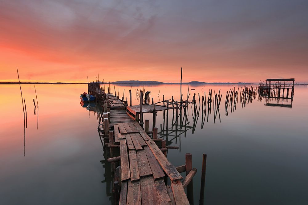 The Last... Light art print by Alvaro Roxo for $57.95 CAD