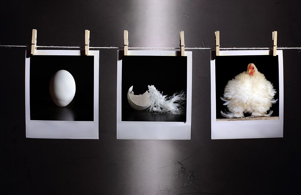 The Life art print by Victoria Ivanova for $57.95 CAD