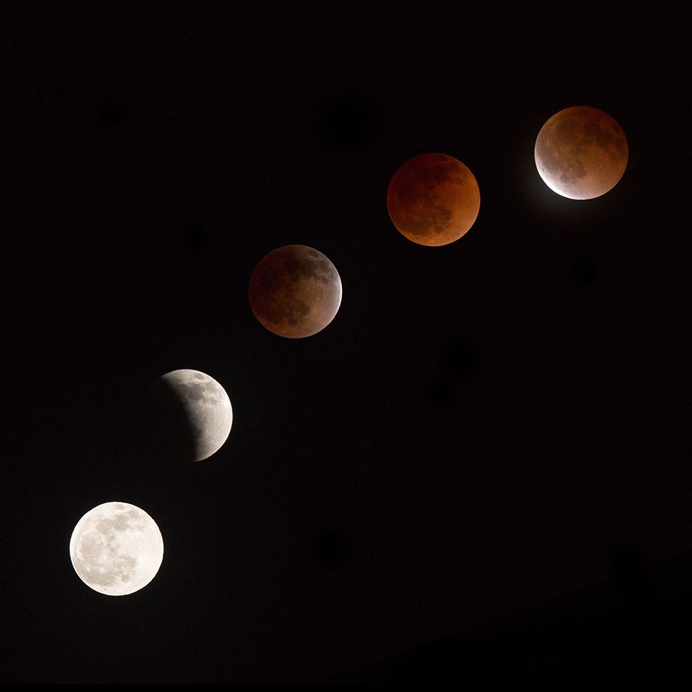 Moon At Play art print by Vadim Ianulionoc for $57.95 CAD