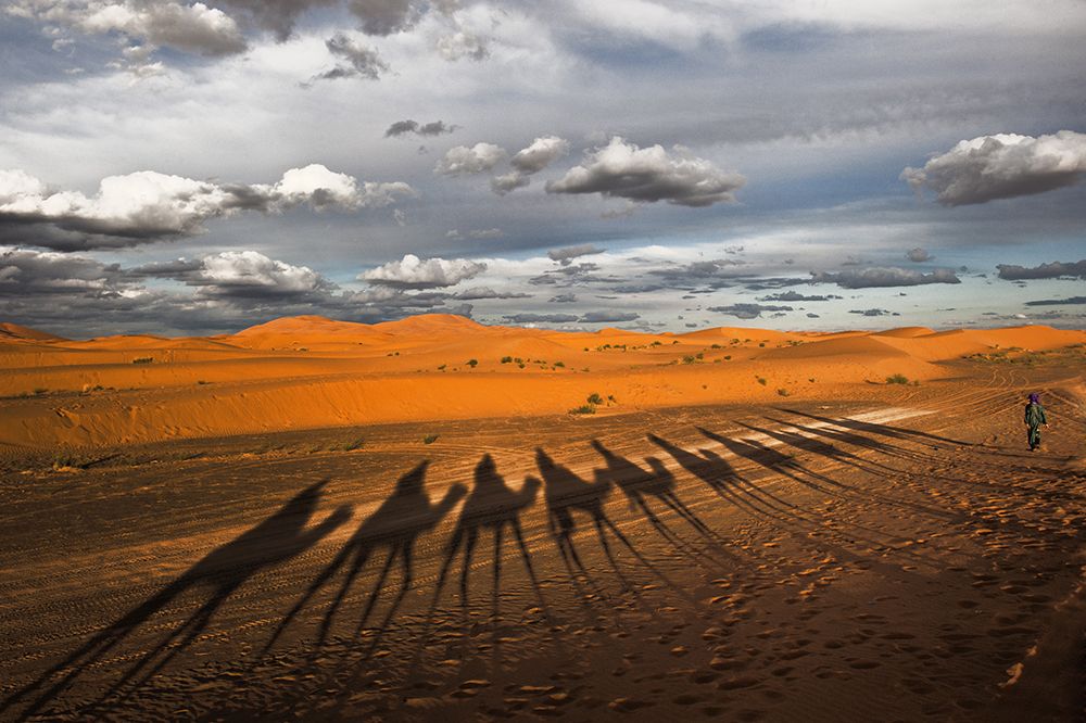Through the dunes of Merzouga (Morocco). art print by Joxe Inazio Kuesta for $57.95 CAD