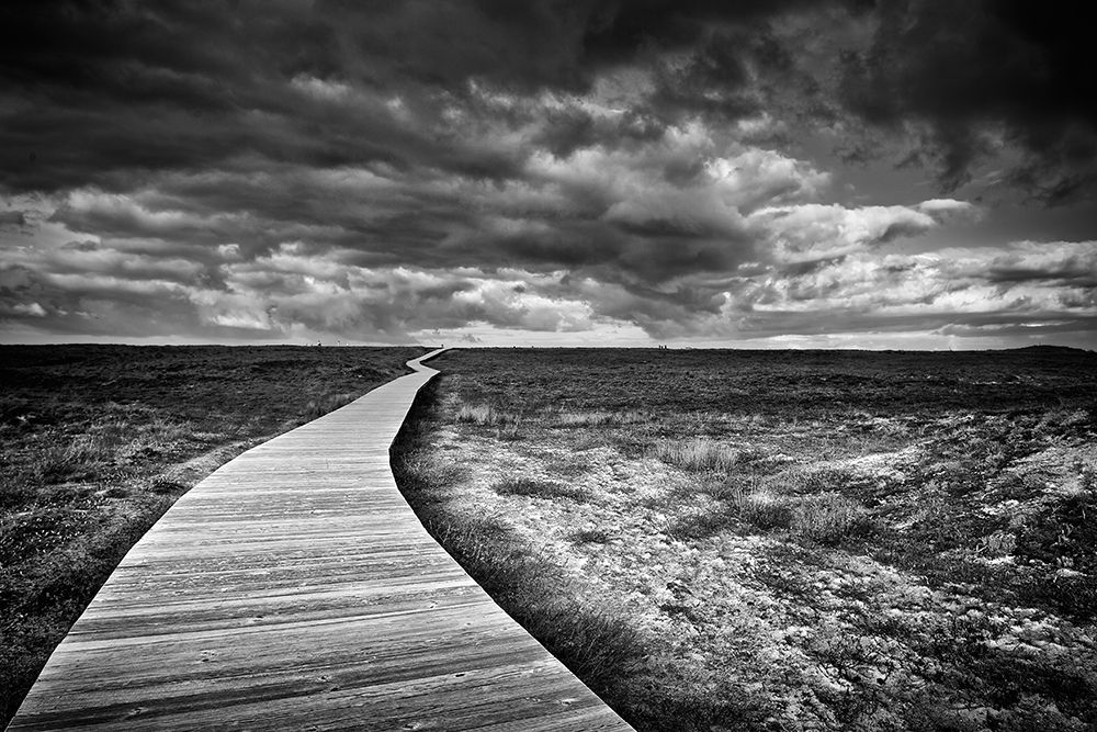 The Way art print by Santiago Pascual Buye for $57.95 CAD