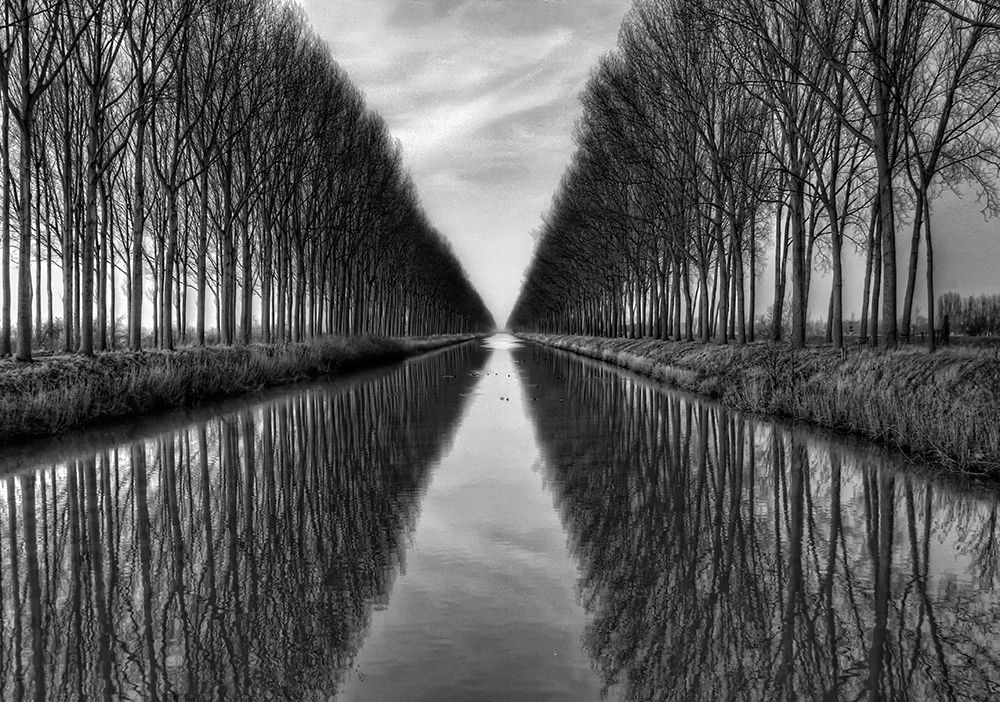 Vanished To The Infinite art print by Yvette Depaepe for $57.95 CAD