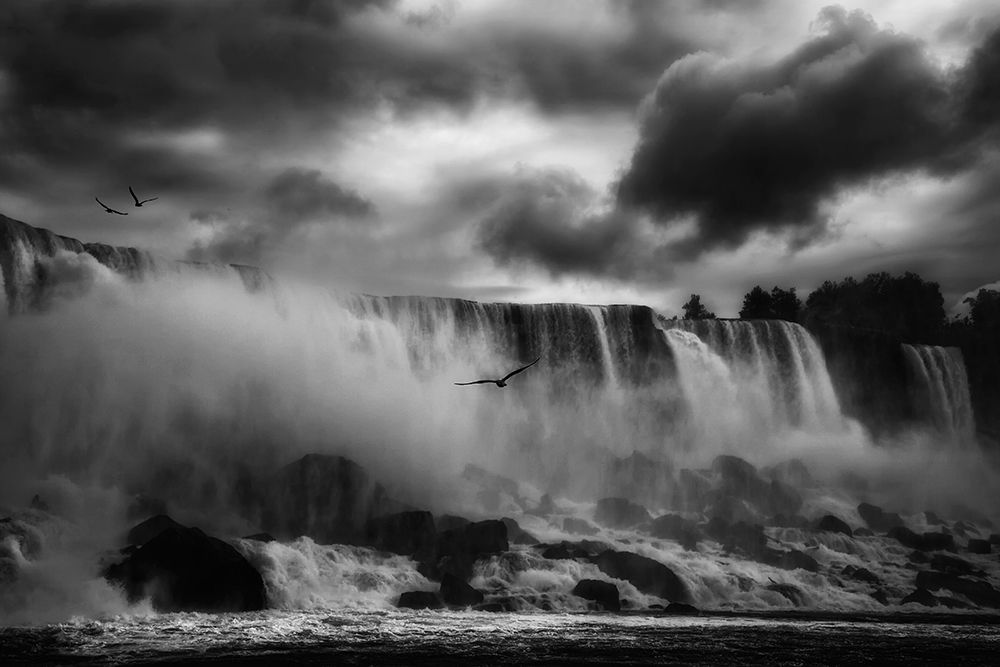 Powerful Splendor art print by Yvette Depaepe for $57.95 CAD