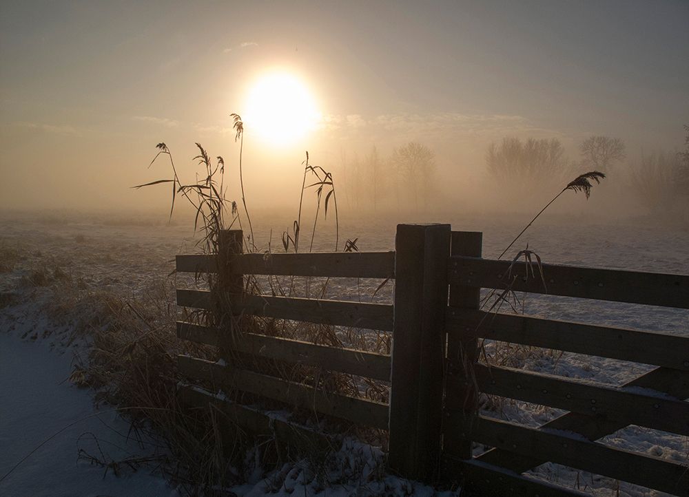 Winter Mood art print by Alida Van Zaane for $57.95 CAD