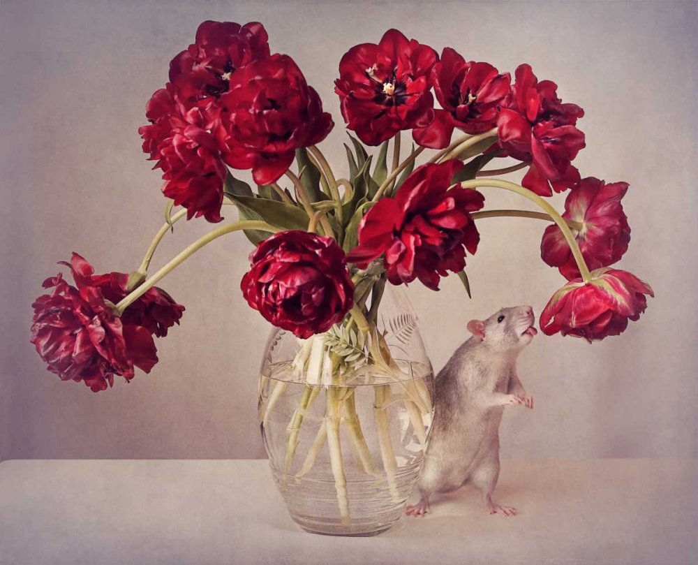 Still Life With Tulips art print by Ellen Van Deelen for $57.95 CAD
