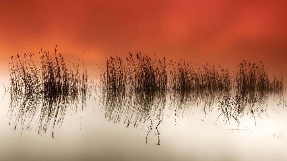 Serenity art print by Rui David for $57.95 CAD