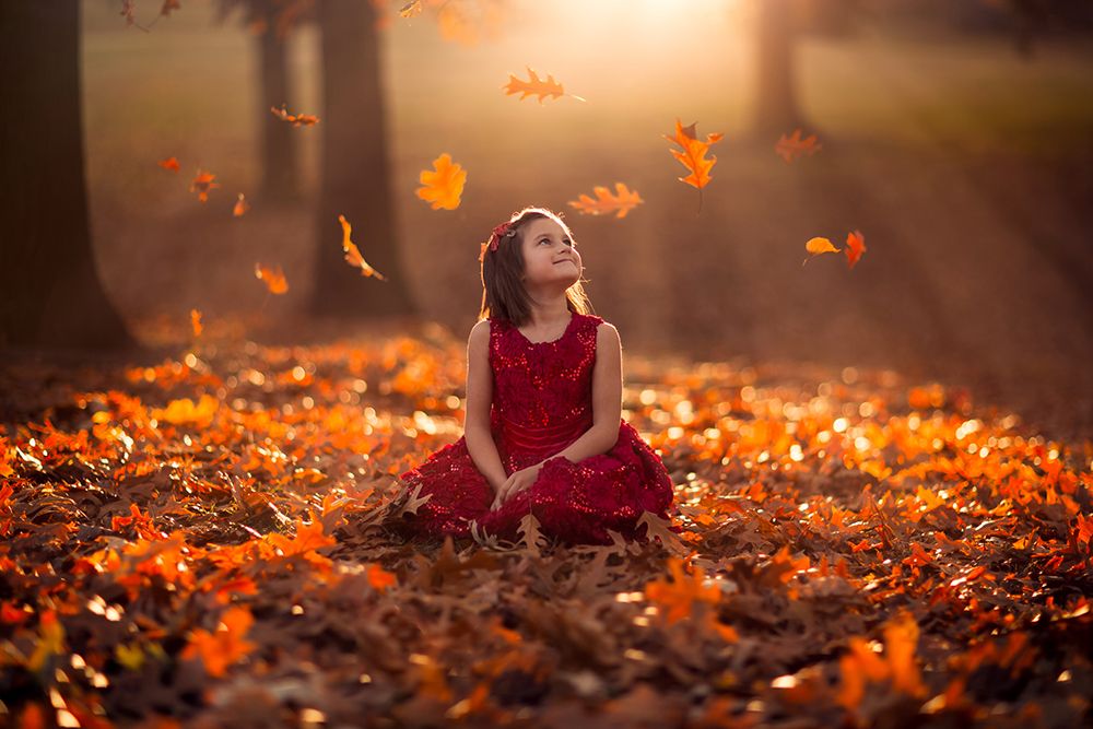Autumn Magic art print by Jake Olson for $57.95 CAD