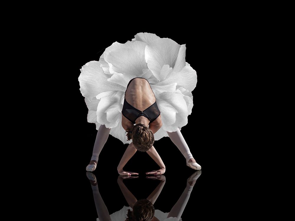 Dance art print by Natalia for $57.95 CAD