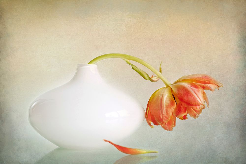 2Lip art print by Alida Van Zaane for $57.95 CAD