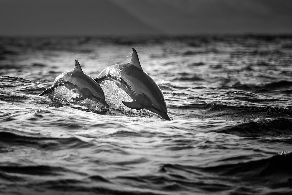 The Mother And The Baby art print by Gunarto Song for $57.95 CAD